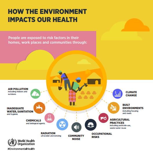 New Findings Confirm Reducing Environmental Risk Factors Could Reduce 